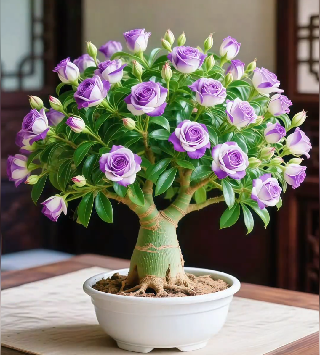 🌵 Puščavska vrtnica – eksotično cvetje, naravna lepota! 🌺✨-SI