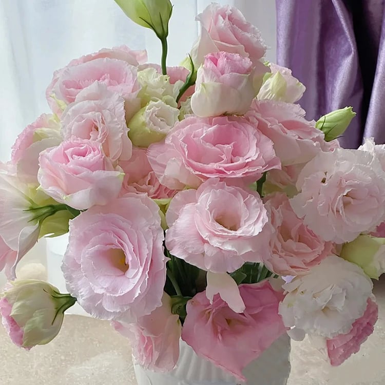 🔥Paskutinė išpardavimo diena💝Eustoma bespygliųučių rožė💐Lisianthus semenų-LT