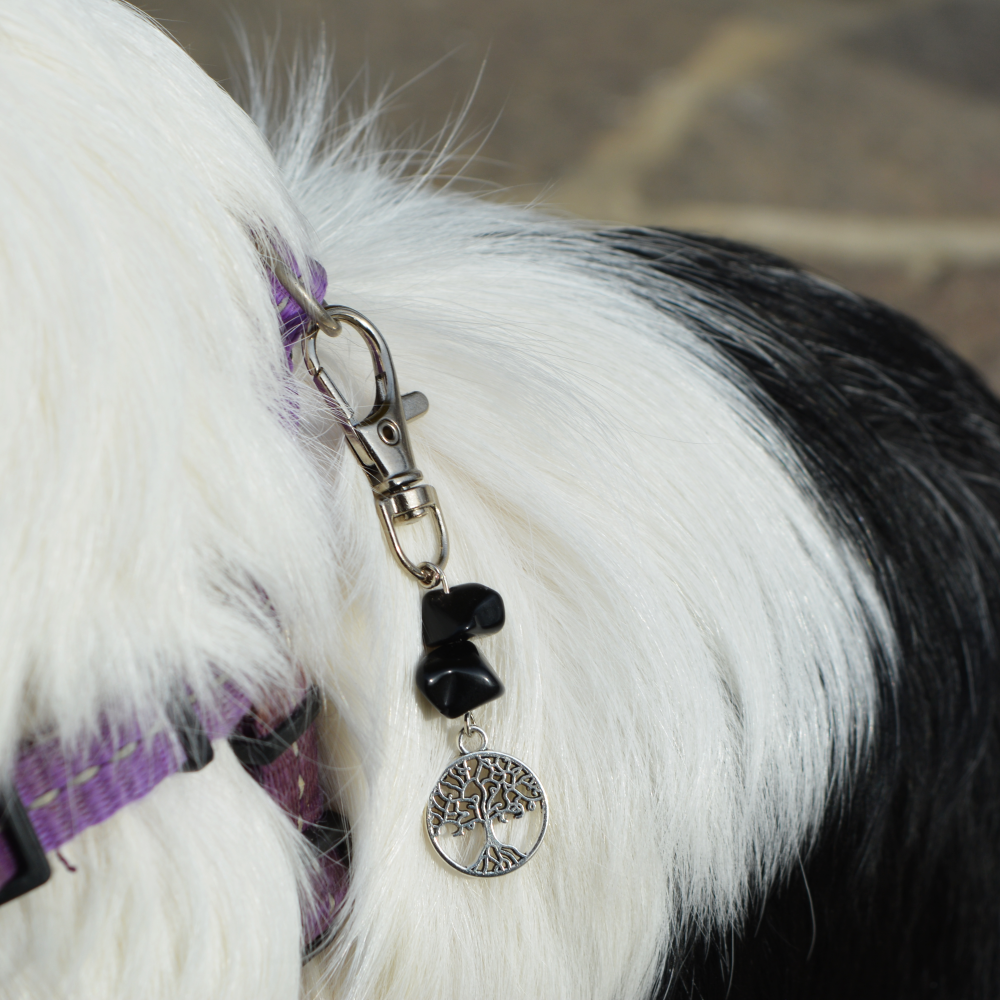 Pakabukas šuns antkakliui - kristalai ir gyvybės medis