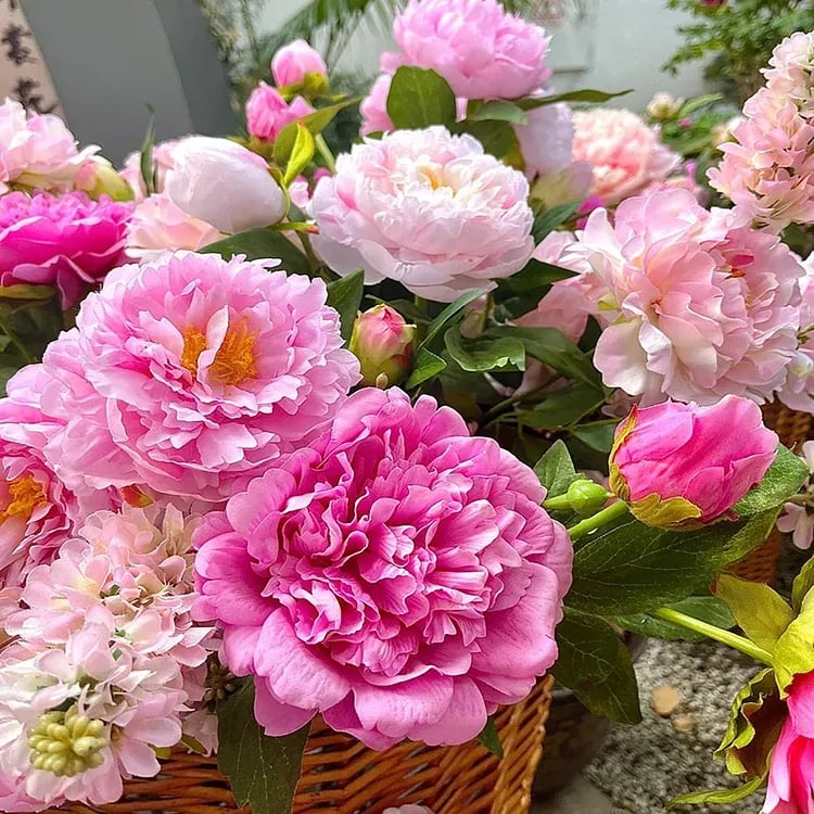 🔥PASKUTINĖ DIENA 45% NUOLAIDA🌺GĖLIŲ KARALIENĖ - DVIGUBA PUTŲ FORMA-LT