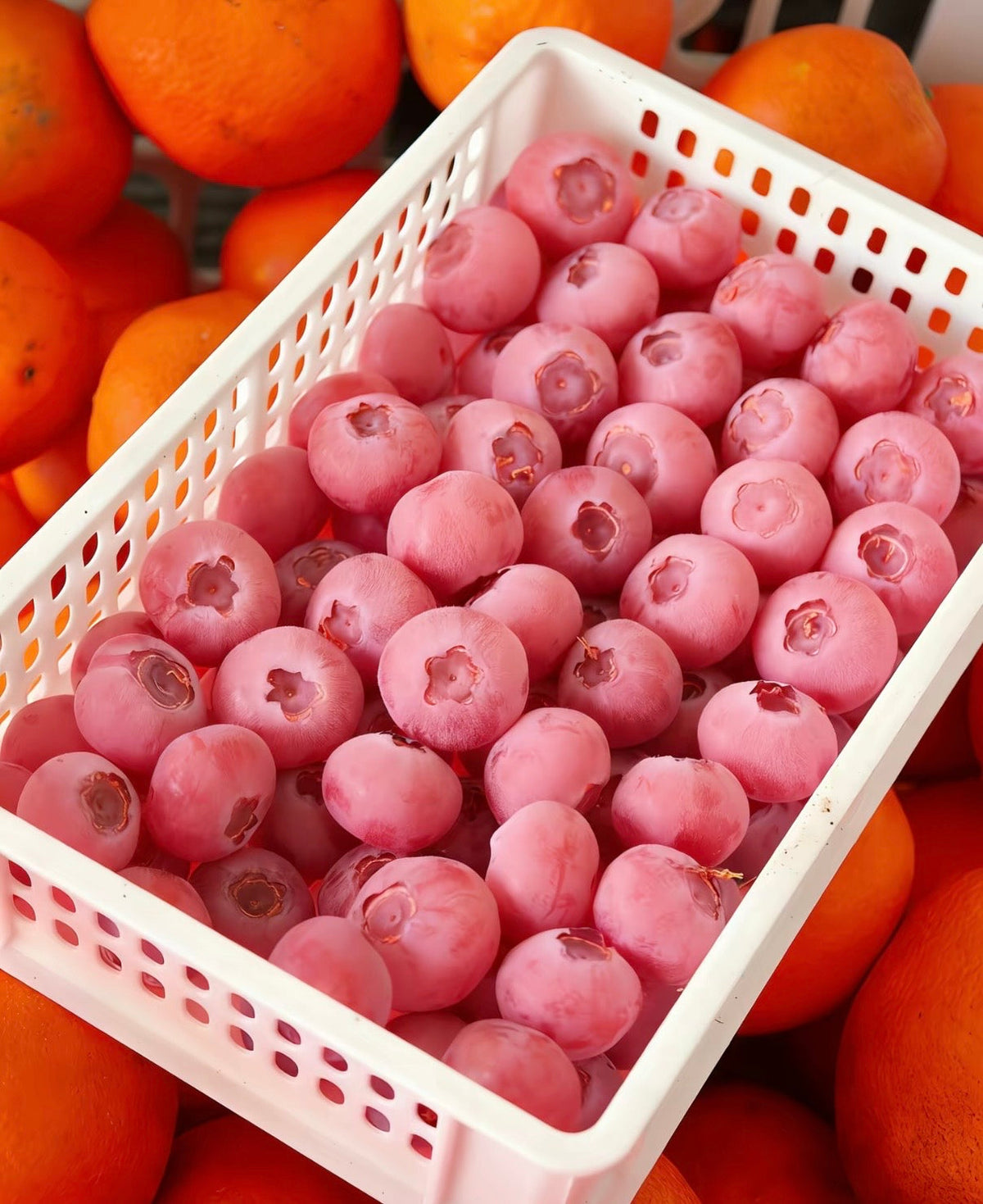 Pink Bliss mustikaseemned – topeltmagusus-EE