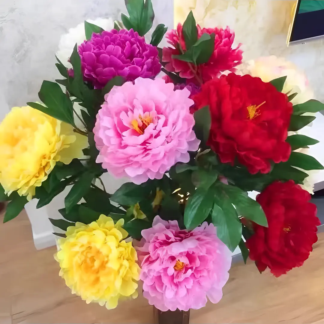 🌸 Vzpenjajoča se potonika, trajnica, odporna proti zmrzali, za notranjo in zunanjo lepoto-SI
