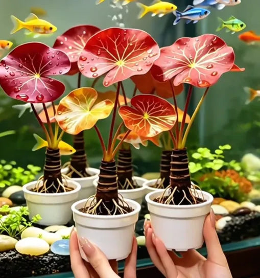 🐟Hidroponske korenine rdečega lotosa🌿 Spremenite svoj akvarij v živi vrt-SI