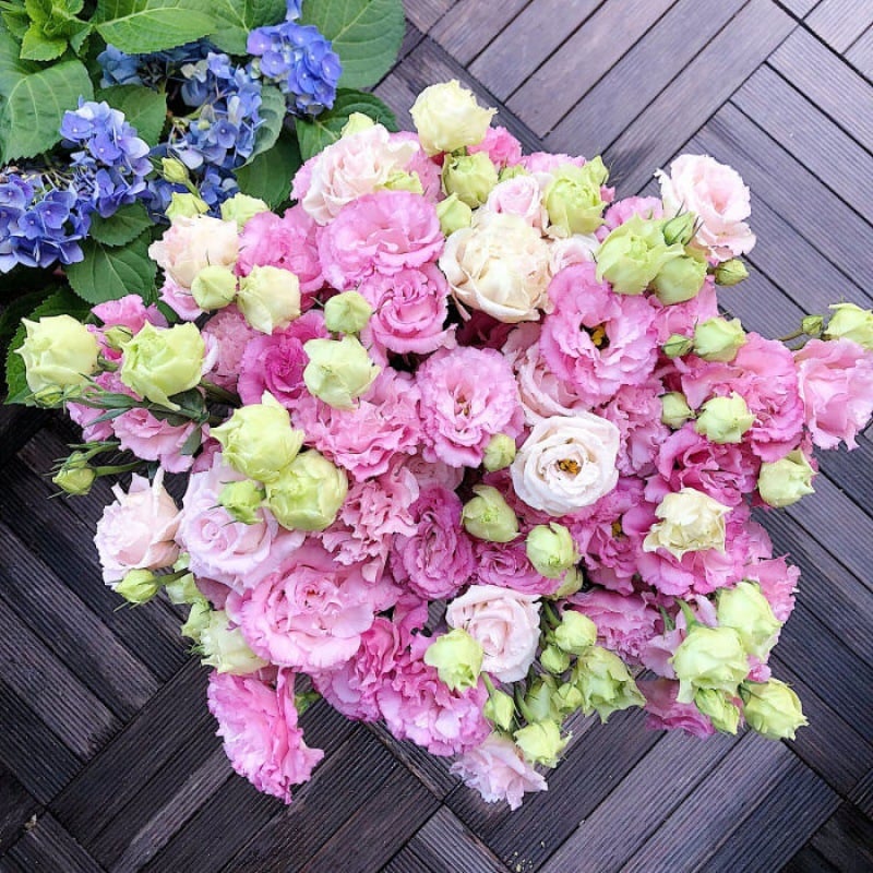 🔥Paskutinė išpardavimo diena💝Eustoma bespygliųučių rožė💐Lisianthus semenų-LT 