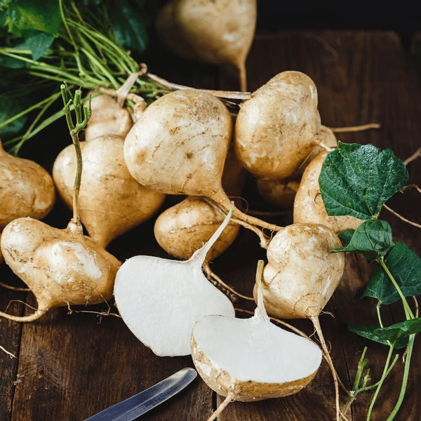Ekskluzivna ponudba💥Bogato, sočno in hranljivo hrustljavo sadje - sladka jikama za sajenje doma🍠-SI