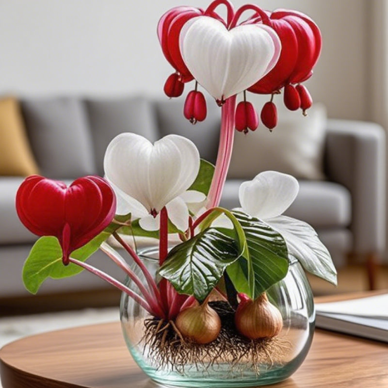 💕 Uresničite si želje: Čebulice želja – Cvetoče čudeže za vsak dom🌷-SI
