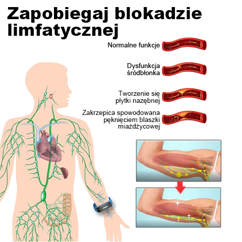 🎁 Ultragarsiniai diržai riebalų deginimui ir detoksikacijai-LT