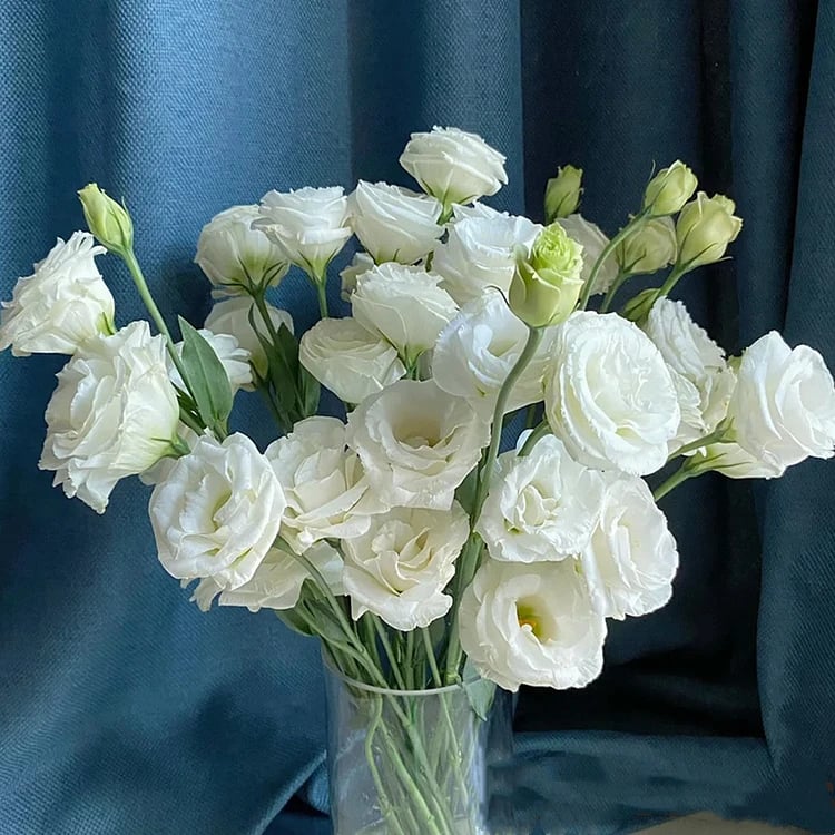 🔥Paskutinė išpardavimo diena💝Eustoma bespygliųučių rožė💐Lisianthus semenų-LT 