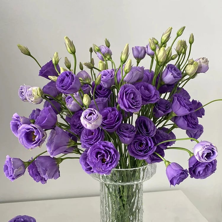 🔥Zadnji dan prodaje💝Eustoma Thornless Rose💐Semena Lisianthusa-SI