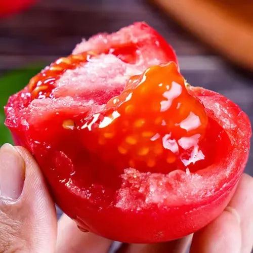 🍅🍅Νανοί σπόροι ντομάτας σε γλάστρες-SI 