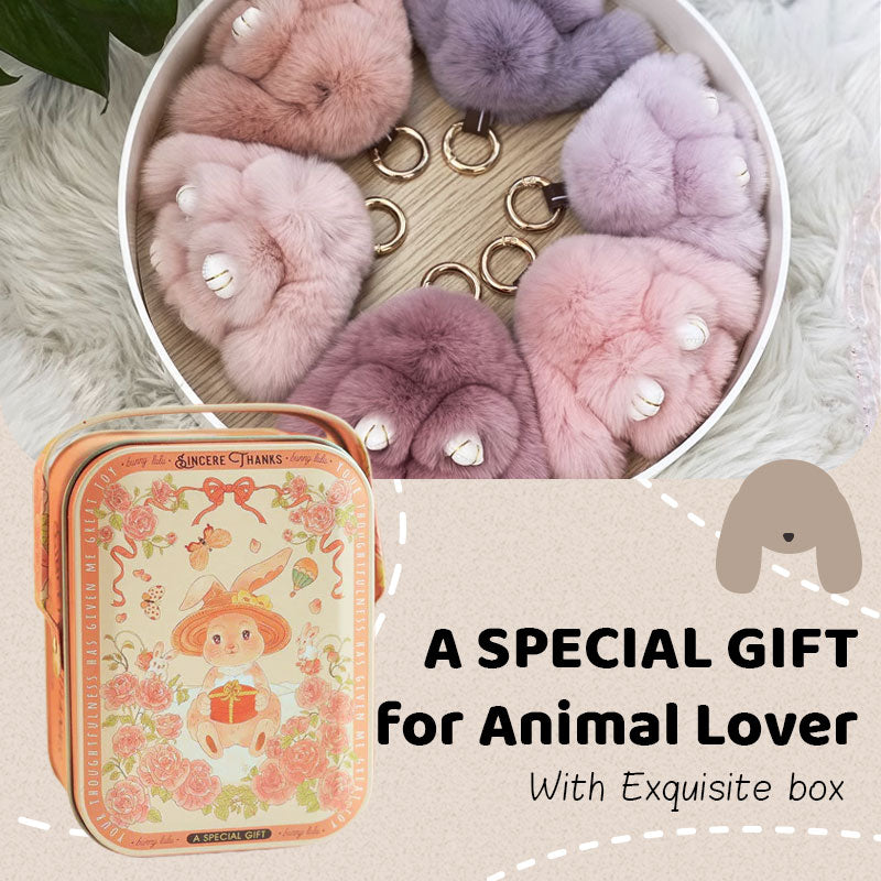 【✨Pirk 3 ir gauk 1 δωρεάν】🐰 Mielas plushies zuikio žavesys-LT 