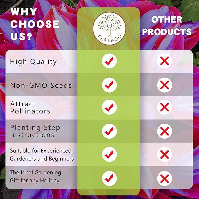 🌿 Σπάνιοι λαμπτήρες hosta🎁 Ειδική προσφορά 2025-SI 
