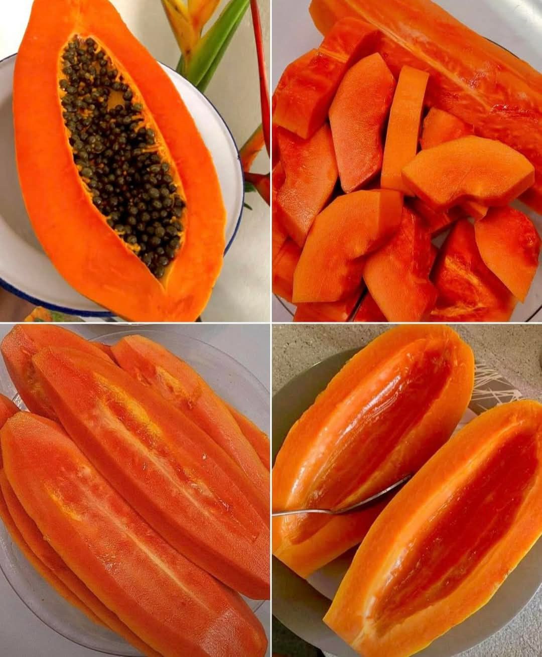 🥭 Retasis „Dragon Claw“ papajos ekstraktas – maitinkite savo kūną, palaikykite kasdienę savijautą-LT