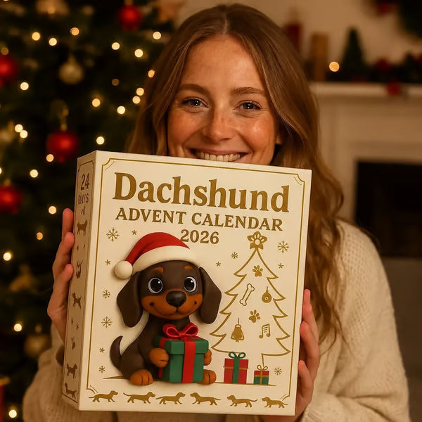 🎄🐾 Adventni koledar za jazbečarje za leto 2026 🐶✨-SI