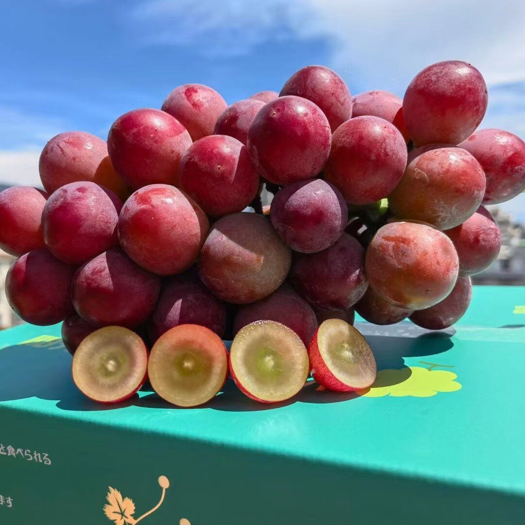 Omejena nova sorta – grozdna semena Queen Nina za sladke, sočne vrtne letine 🍇-SI