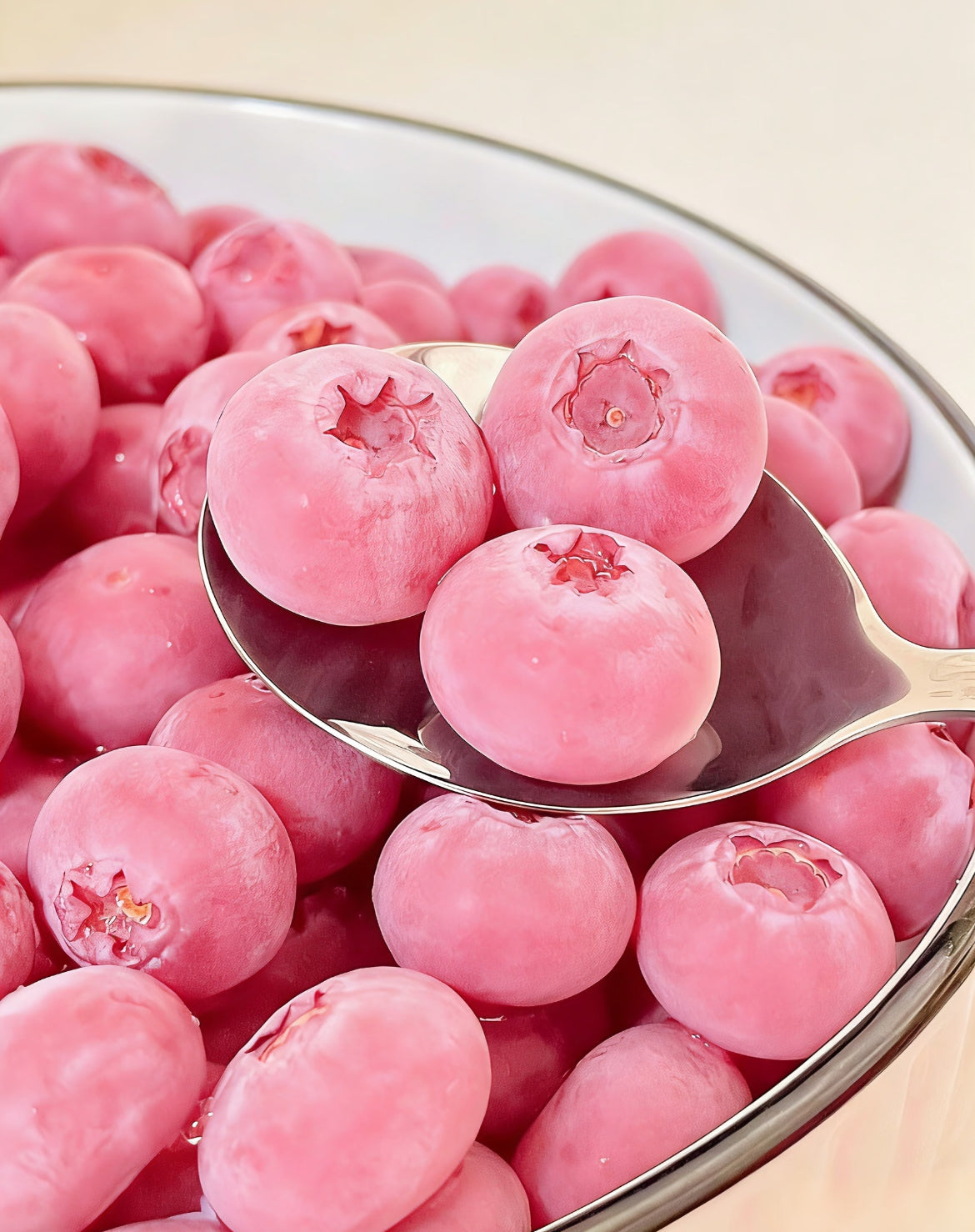 Semienka čučoriedok Pink Bliss – Dvojitá sladkosť-SK