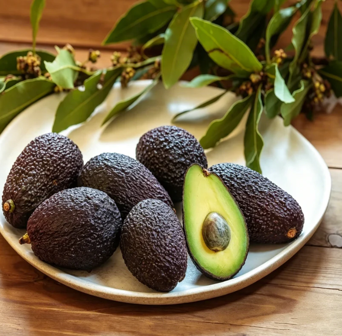 🍃 „Heirloom Manor“ serija: 13 atrinktų vaisių sėklų rinkinys (be GMO) 🌳 – Geriausiai parduodamas produktas-LT