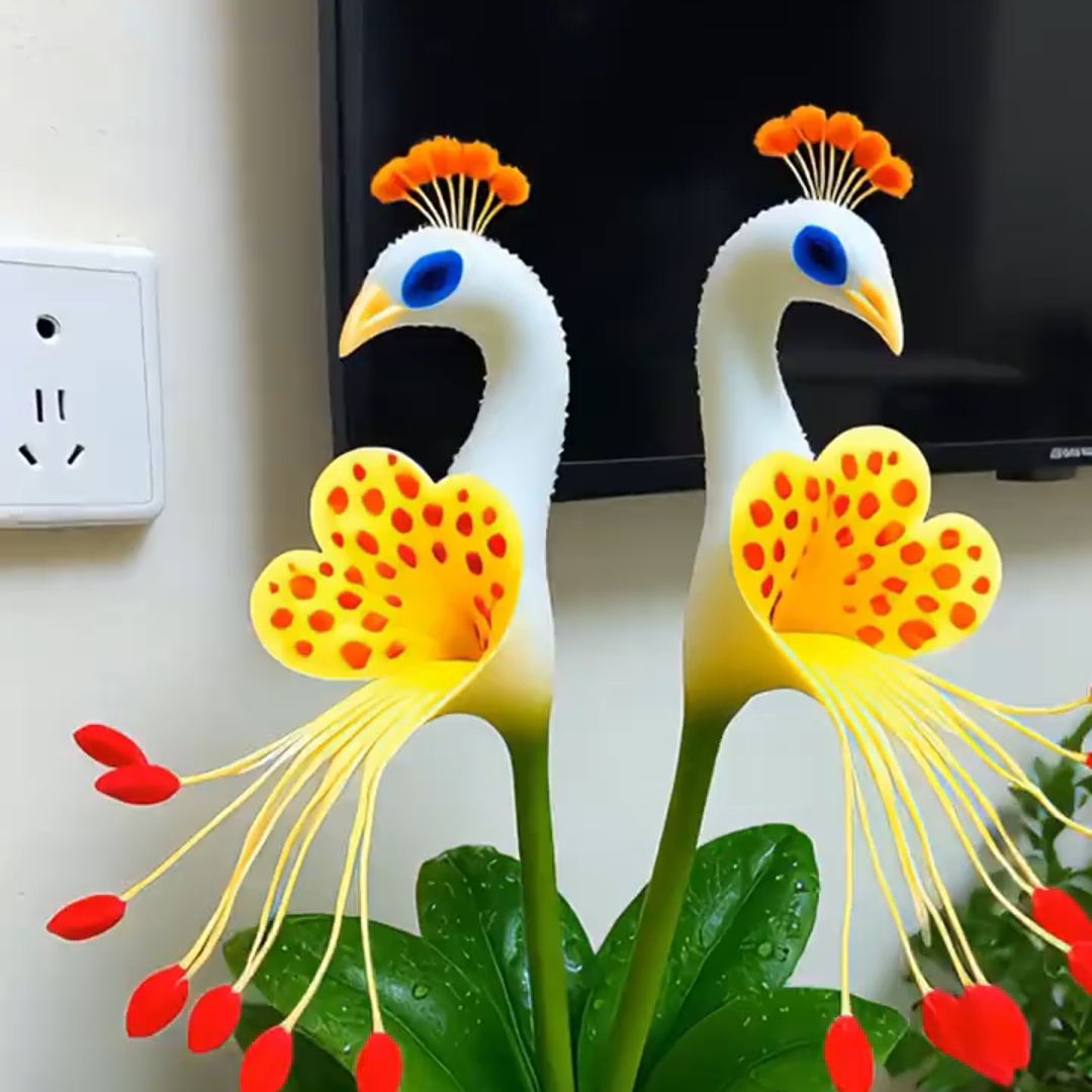 🦚 Povo orchidėja-LT