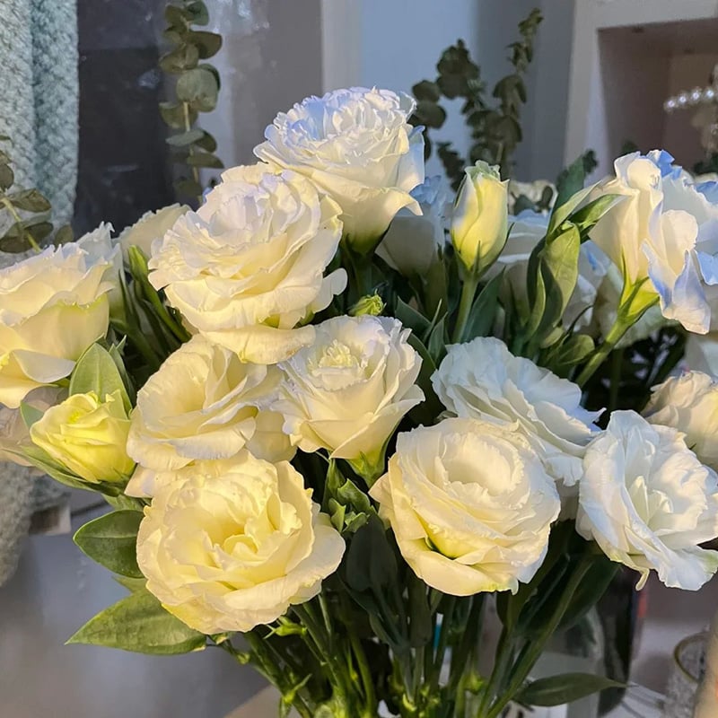 🔥Paskutinė išpardavimo diena💝Eustoma bespygliųučių rožė💐Lisianthus semenų-LT 