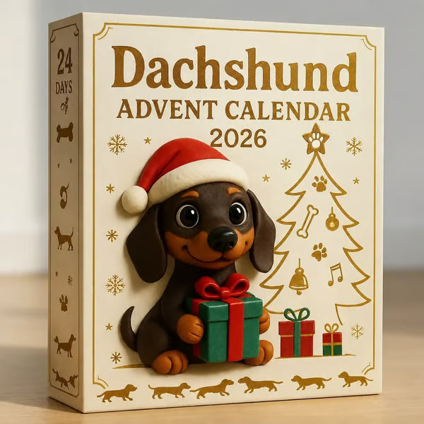 🎄🐾 Adventni koledar za jazbečarje za leto 2026 🐶✨-SI