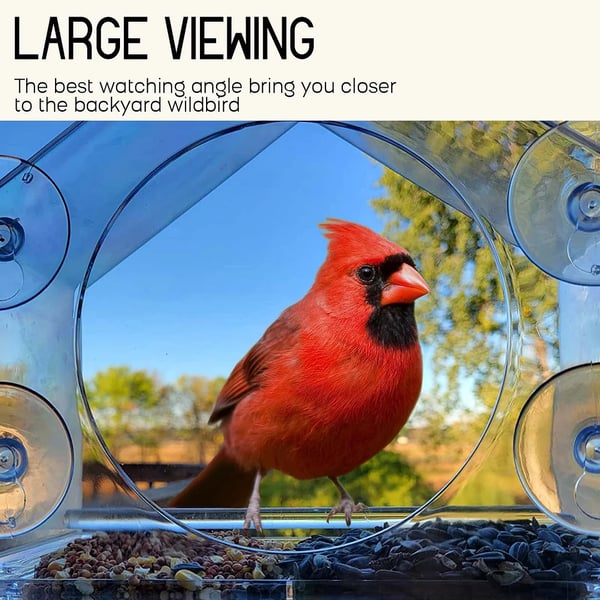 🐦👍👍👍Langinė pūčki lesykla🤩-LT
