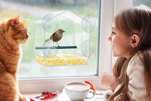 🐦👍👍👍Langinė pūčki lesykla🤩-LT