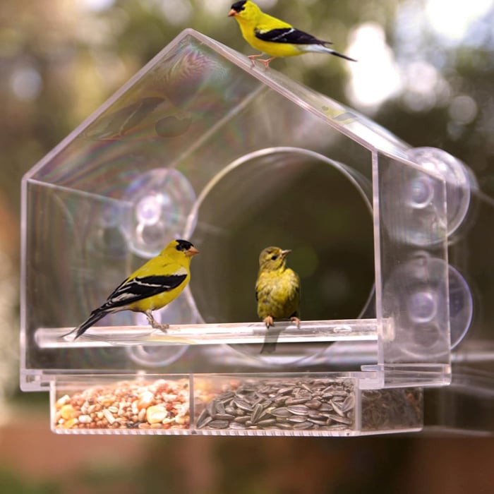 🐦👍👍👍Langinė pūčki lesykla🤩-LT