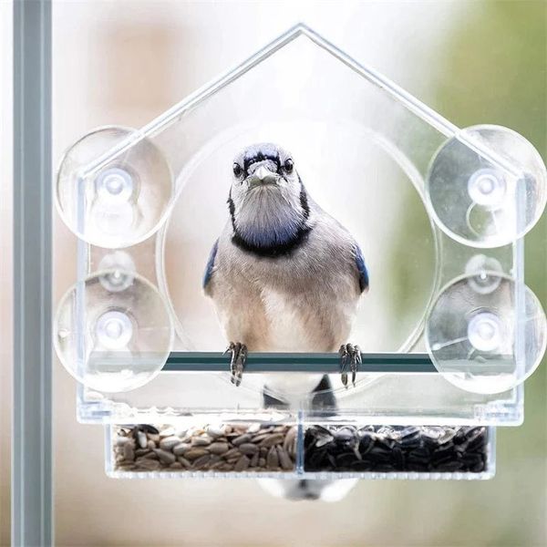 🐦👍👍👍Langinė pūčki lesykla🤩-LT