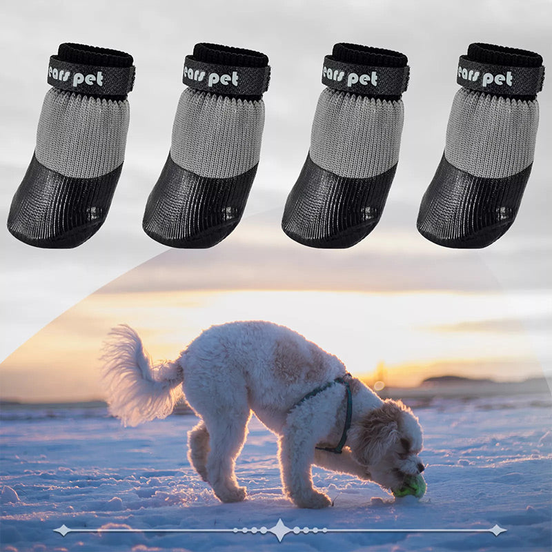 🐶2 para nedrsečih vodoodpornih pasjih nogavic-SI