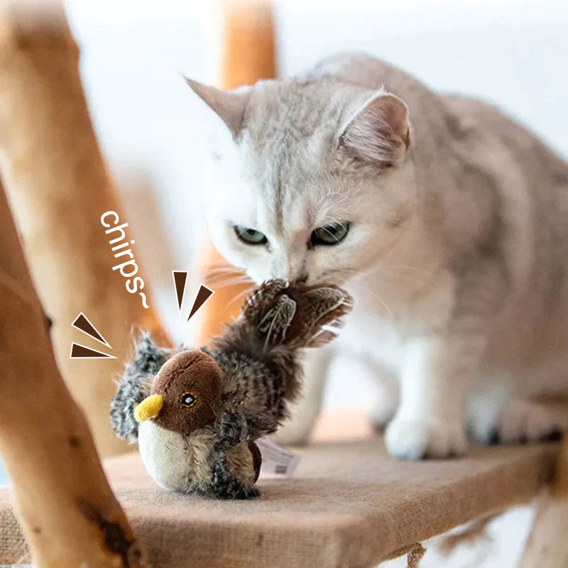 🐱 ΕΝΗΜΕΡΩΜΕΝΟ ΠΑΙΧΝΙΔΙ ΓΑΤΑΣ ΜΕ ΠΡΟΣΩΠΑ🐦-SI 