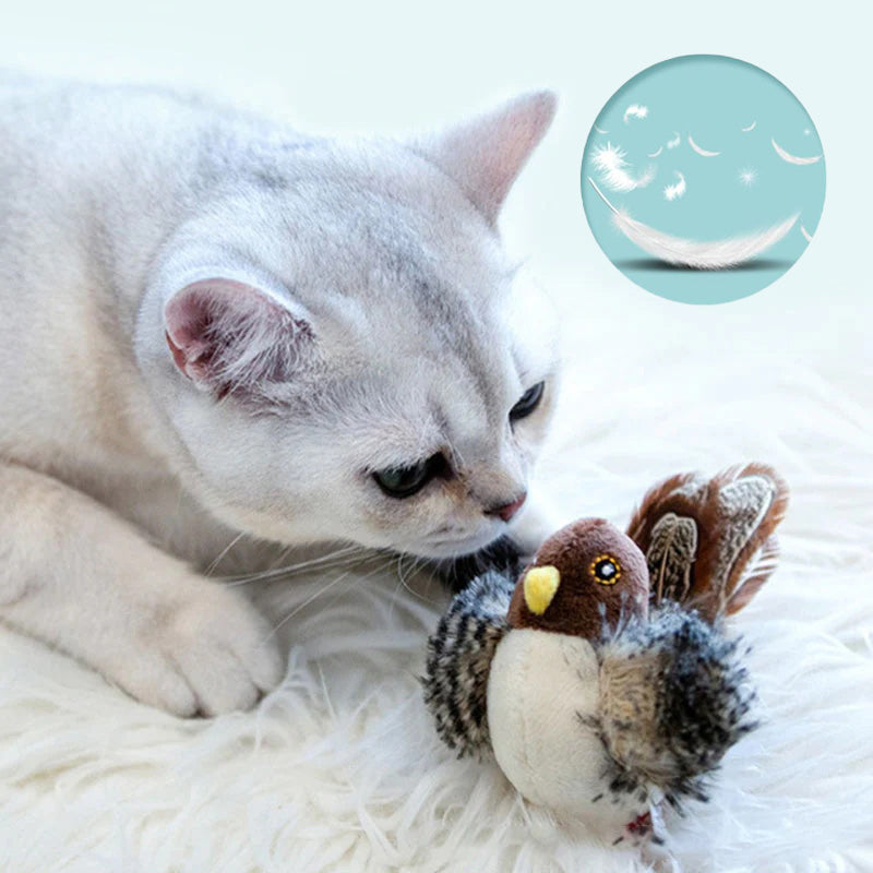 🐱 ΕΝΗΜΕΡΩΜΕΝΟ ΠΑΙΧΝΙΔΙ ΓΑΤΑΣ ΜΕ ΠΡΟΣΩΠΑ🐦-SI 