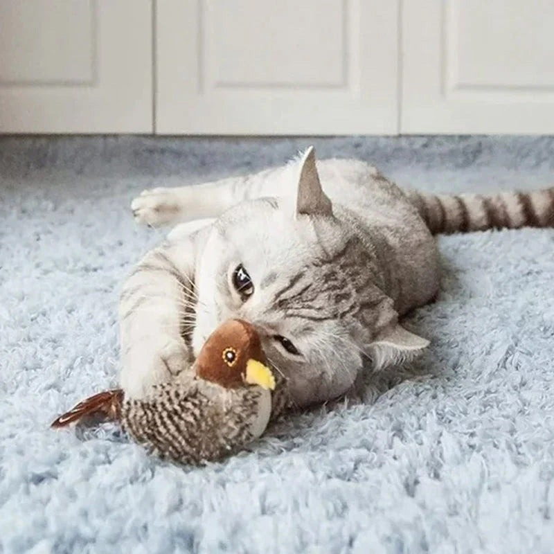 🐱 ΕΝΗΜΕΡΩΜΕΝΟ ΠΑΙΧΝΙΔΙ ΓΑΤΑΣ ΜΕ ΠΡΟΣΩΠΑ🐦-SI 