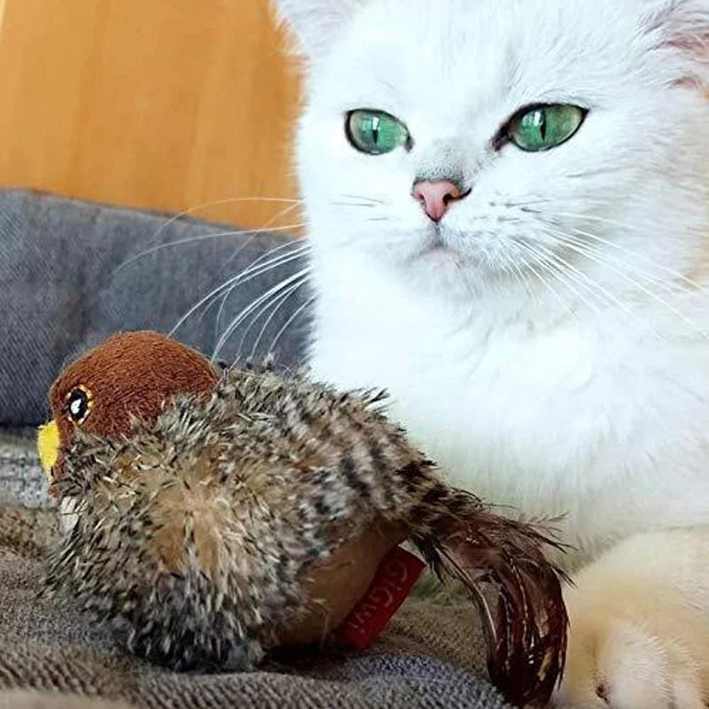 🐱 ΕΝΗΜΕΡΩΜΕΝΟ ΠΑΙΧΝΙΔΙ ΓΑΤΑΣ ΜΕ ΠΡΟΣΩΠΑ🐦-SI 