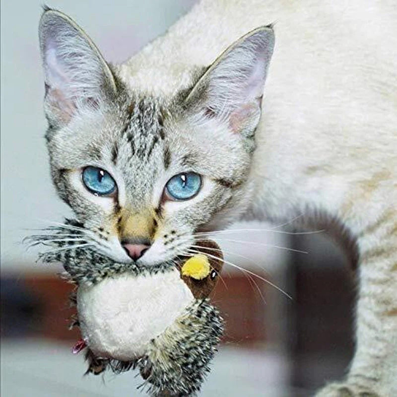 🐱 ΕΝΗΜΕΡΩΜΕΝΟ ΠΑΙΧΝΙΔΙ ΓΑΤΑΣ ΜΕ ΠΡΟΣΩΠΑ🐦-SI 