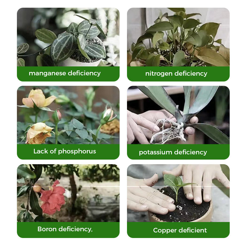 🌱Prašek za pospeševanje cvetenja | Hitra rast korenin + večji cvetovi!🌸-SI