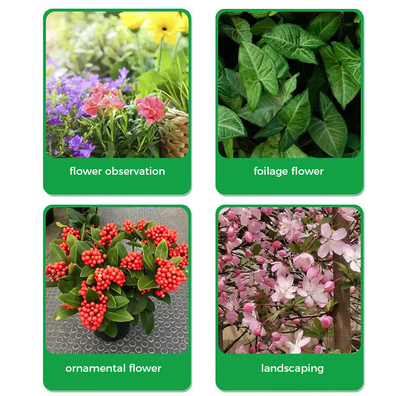 🌱Prášok na podporu kvetu | Rýchly rast koreňov + väčšie kvety!🌸-SK