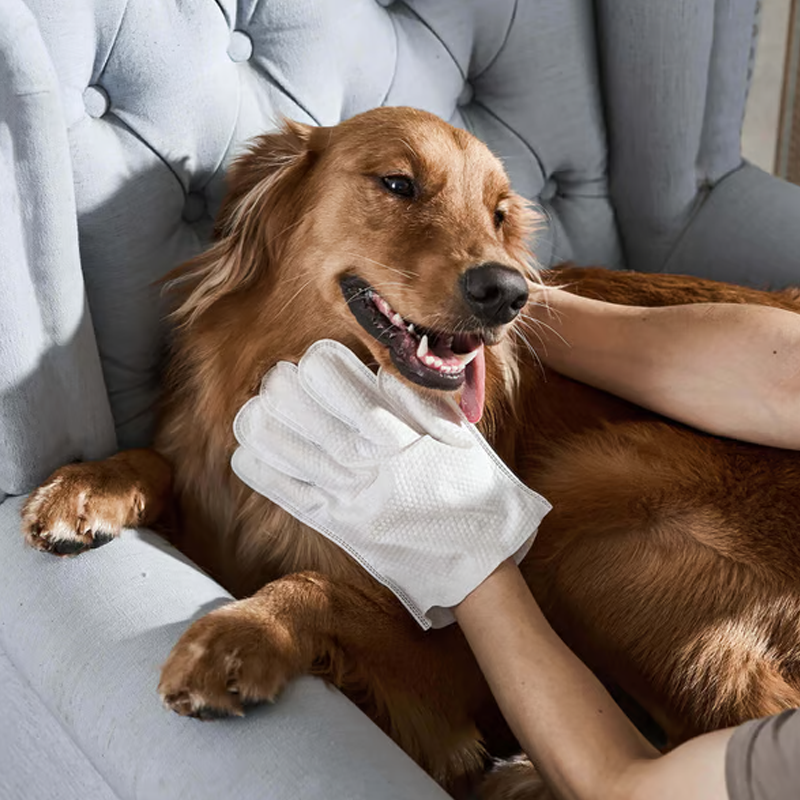 🐶Γάντια καθαρισμού και αποσμητικού για κατοικίδια που ξεπλένονται λιγότερο - SI