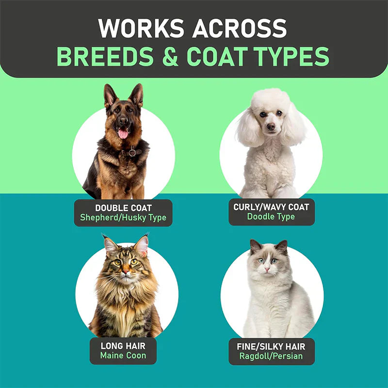 😺🐶1+1 δώρο🧹 Χτένα διπλής όψης για γάτες και σκύλους🐾-GR
